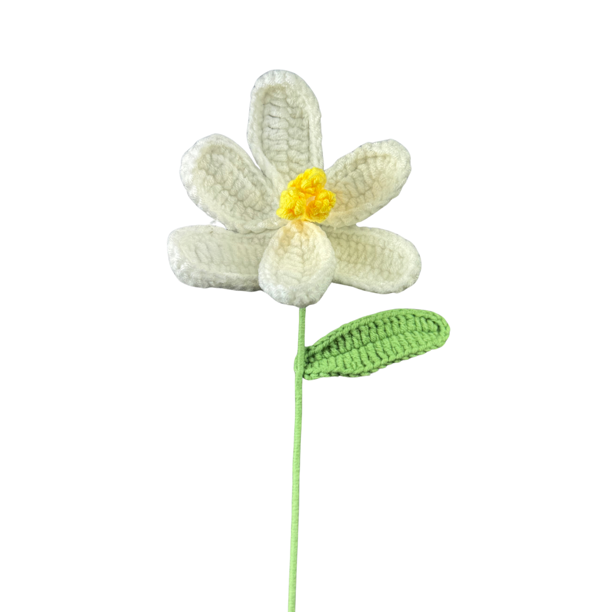 Offene Tulpen