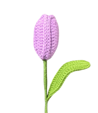 Tulpen