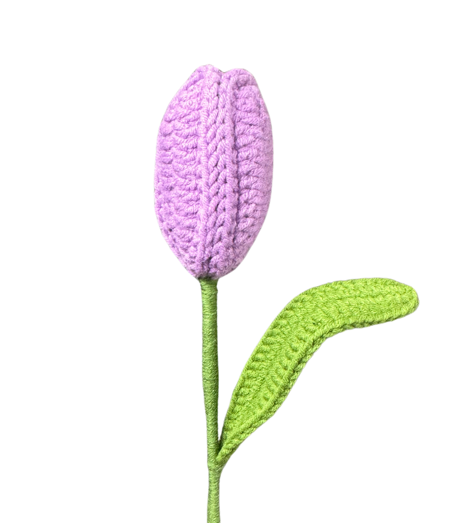 Tulpen