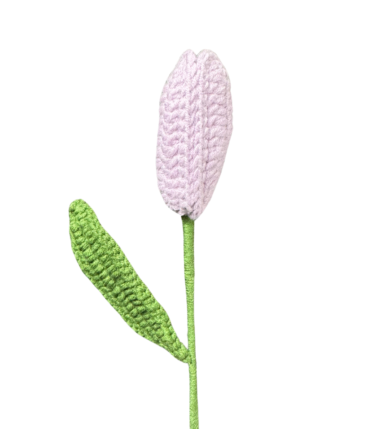 Tulpen