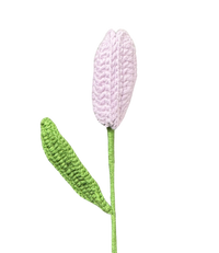 Tulpen
