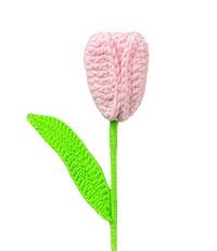 Tulpen