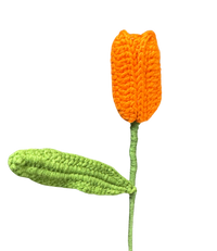 Tulpen