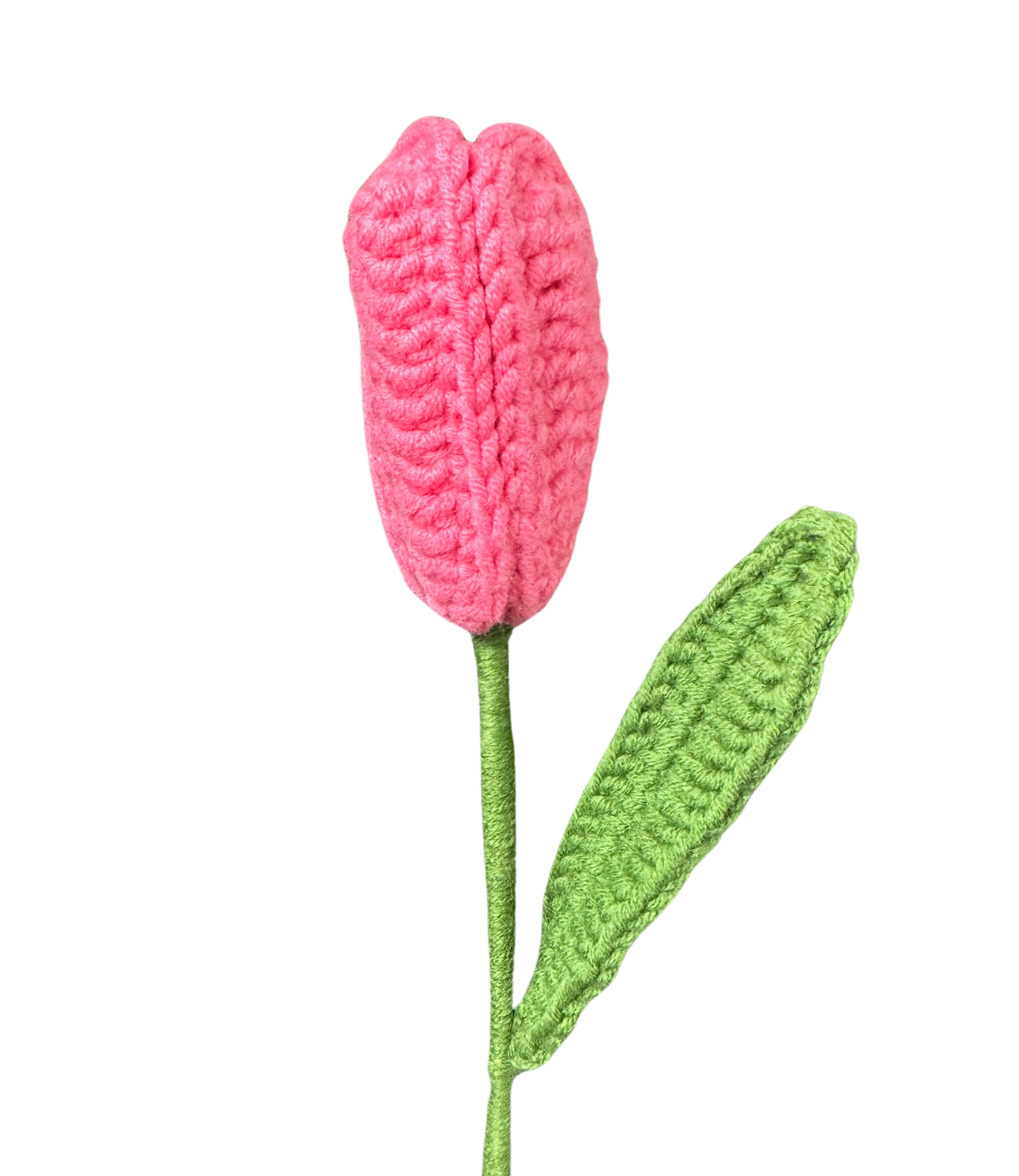 Tulpen