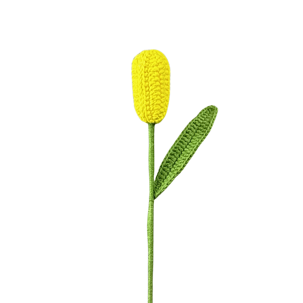 Tulpen