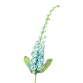 Rittersporne