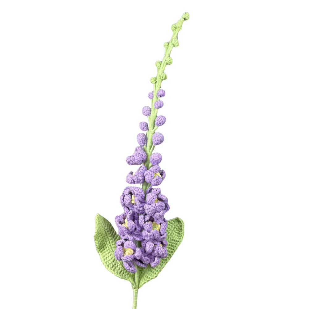 Rittersporne