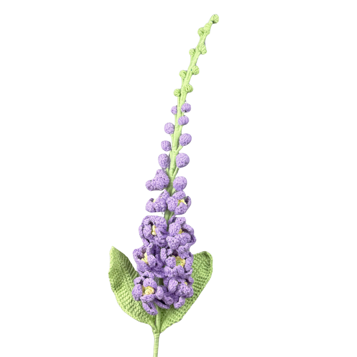 Rittersporne