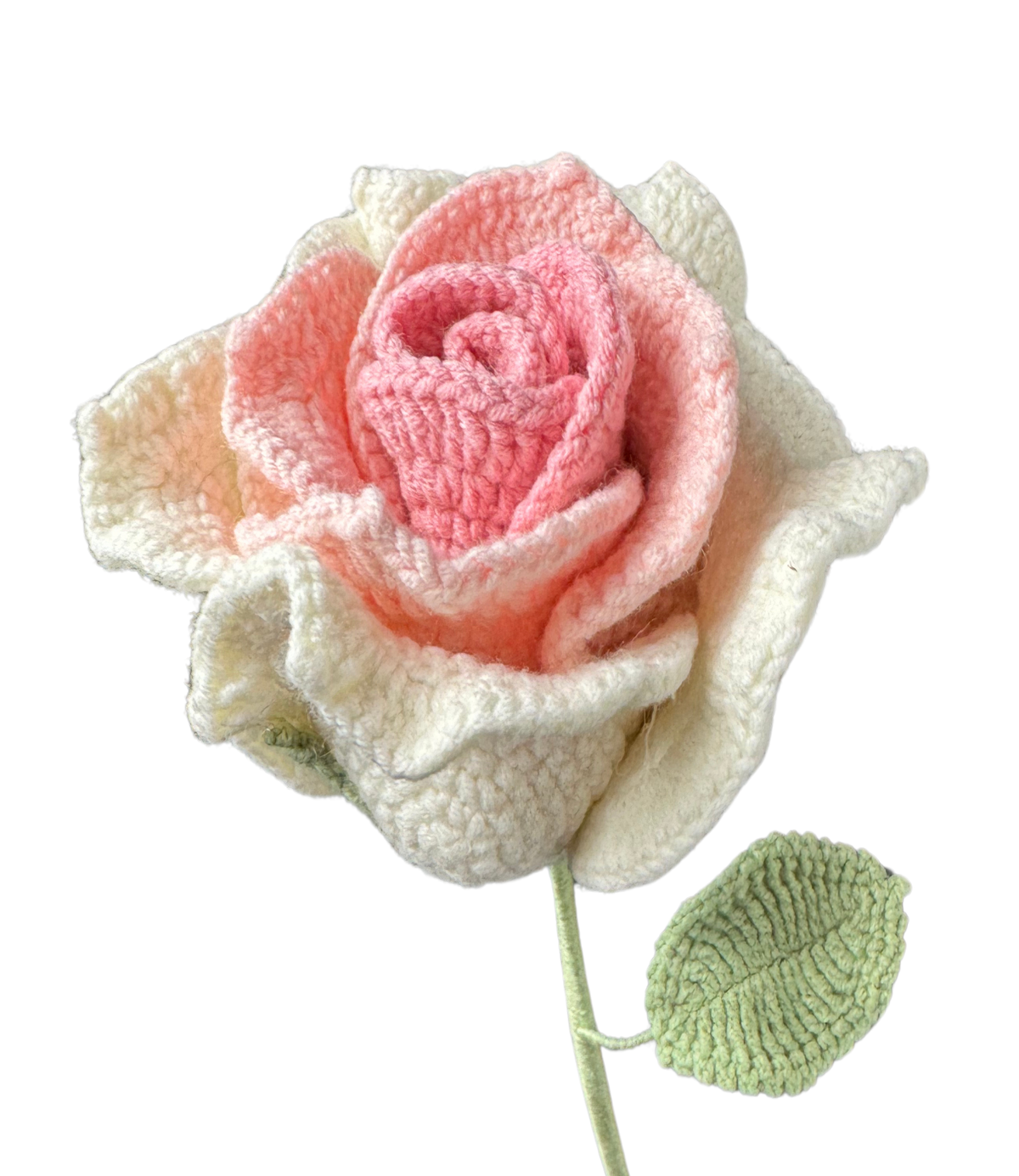 Luxus Rosen