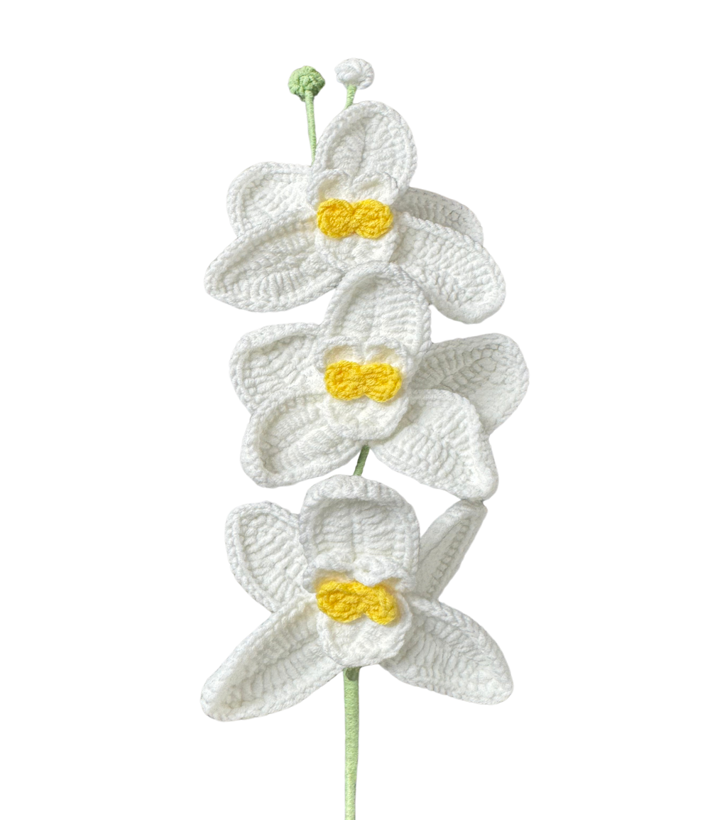 Orchideen