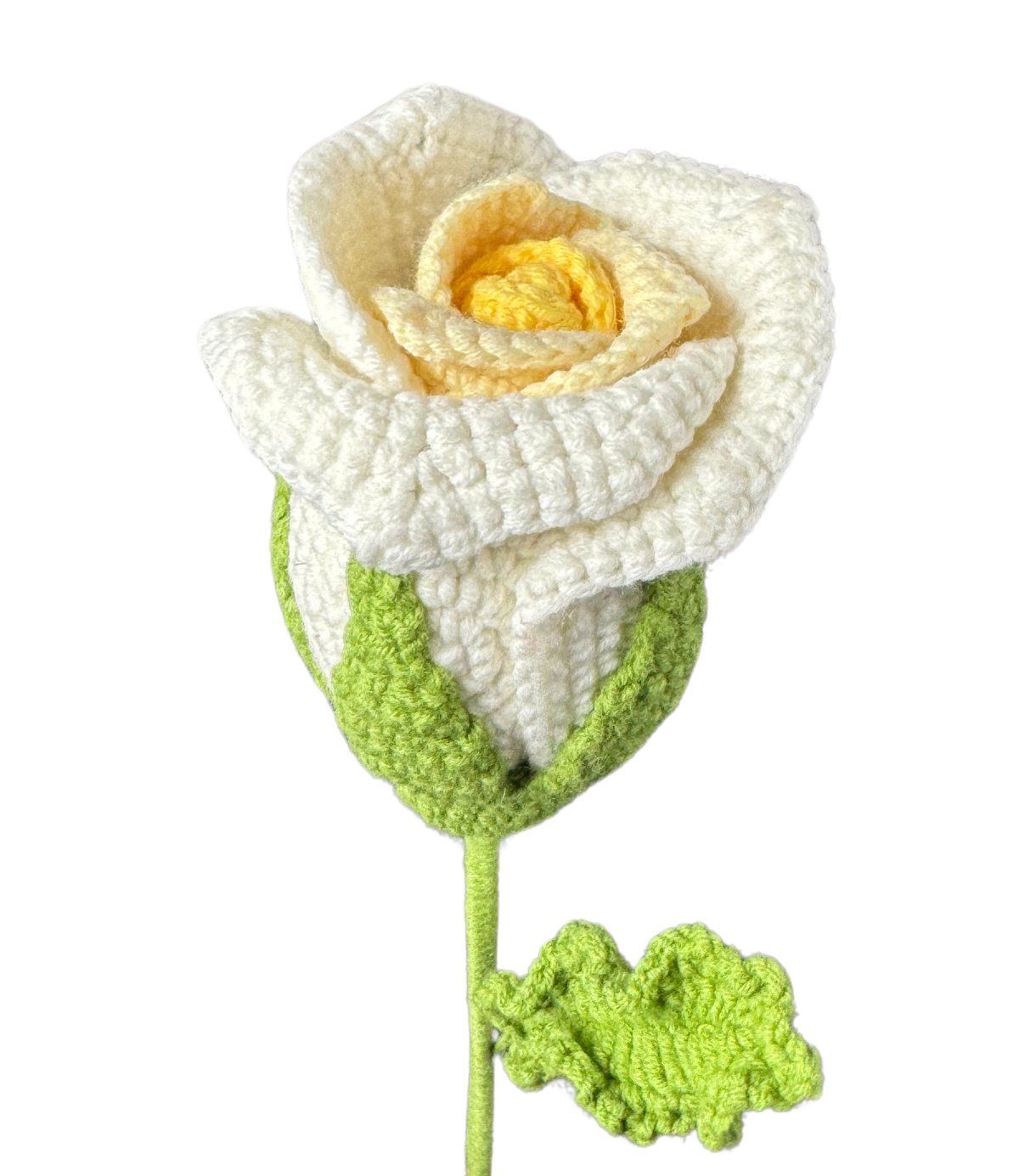 Edel Rosen
