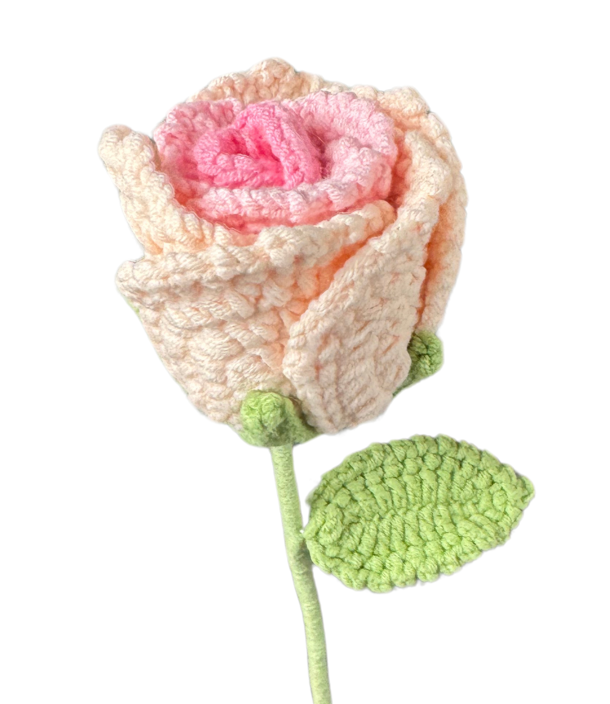 Tantau Rosen
