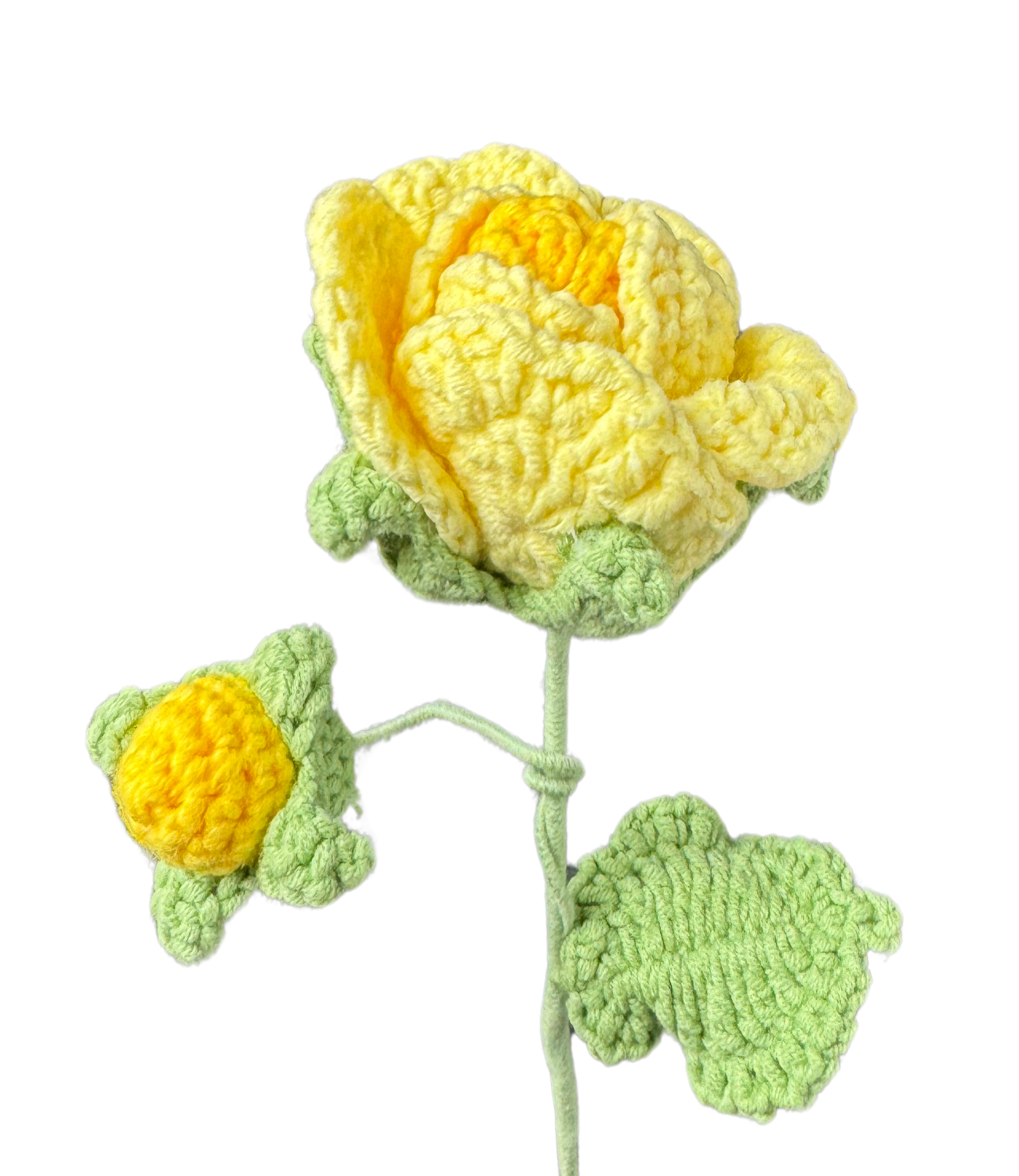 Tantau Rosen