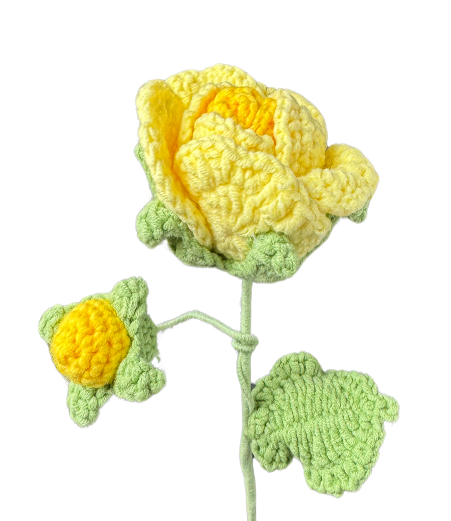 Tantau Rosen