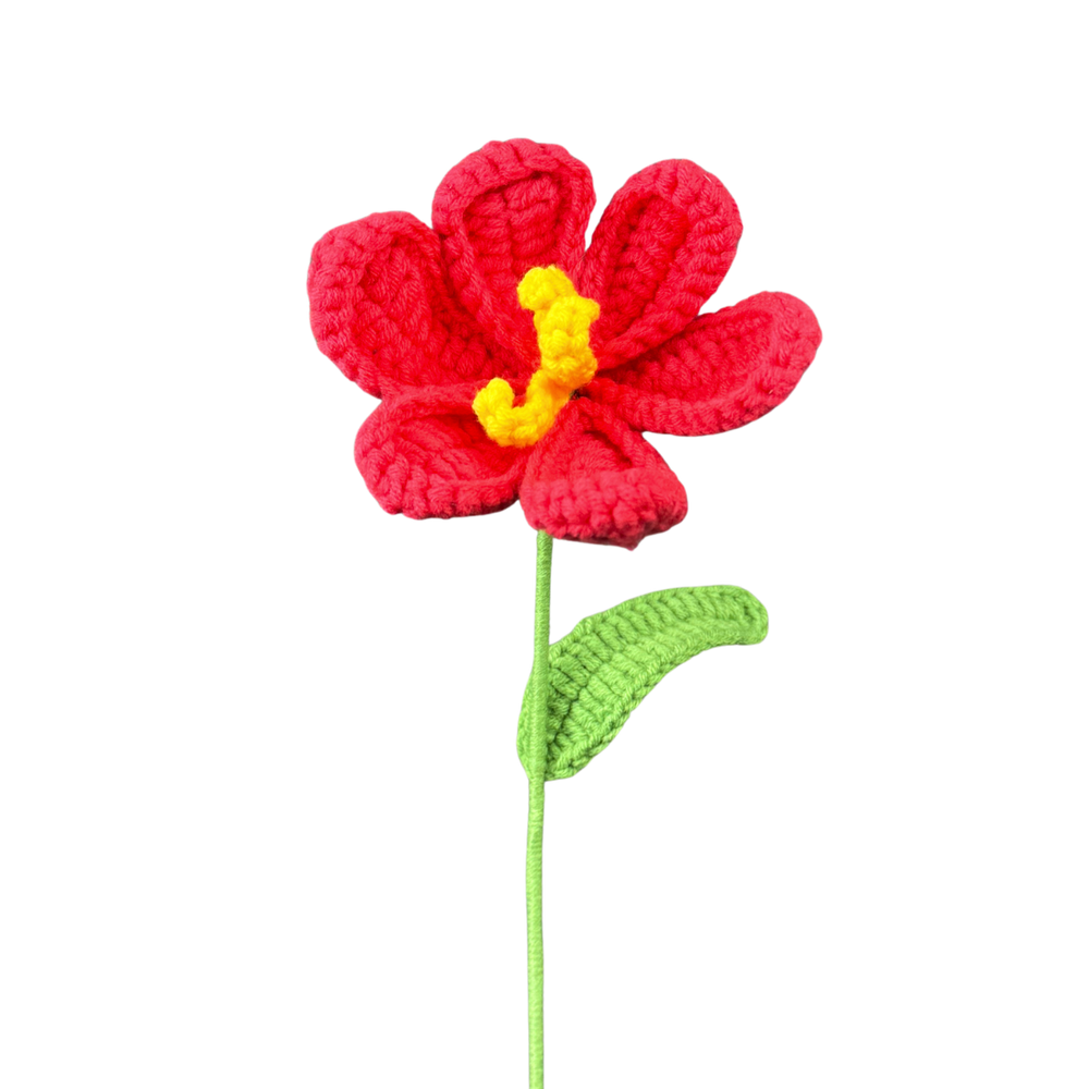 Offene Tulpen
