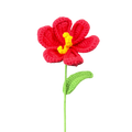 Offene Tulpen