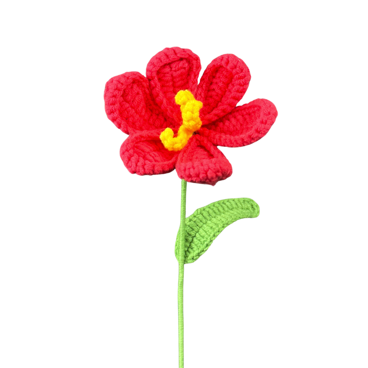 Offene Tulpen