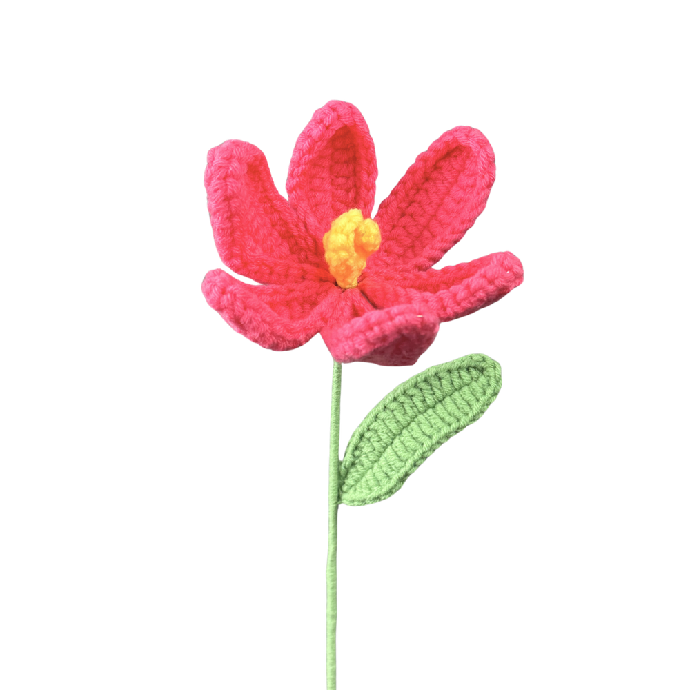 Offene Tulpen