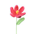Offene Tulpen