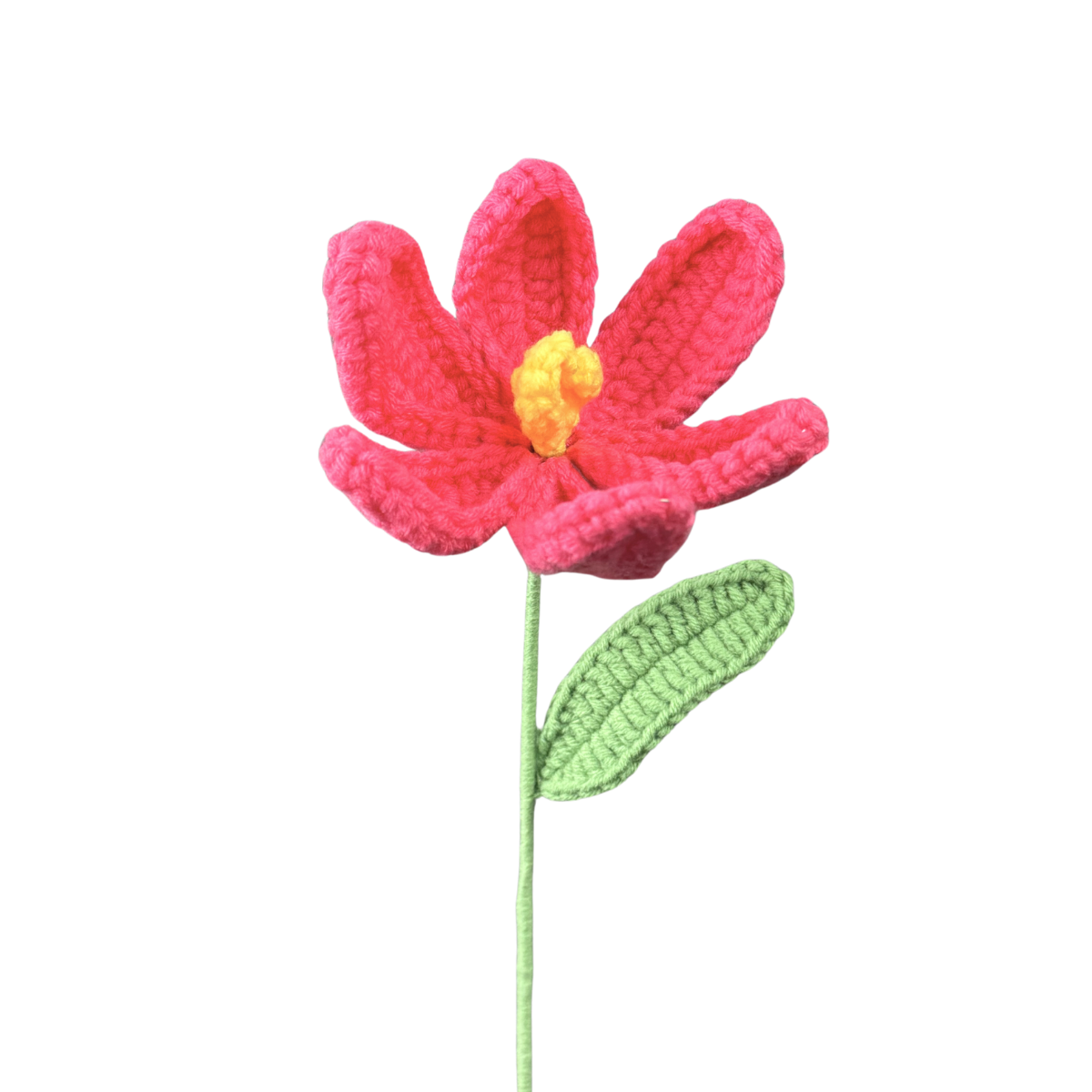Offene Tulpen