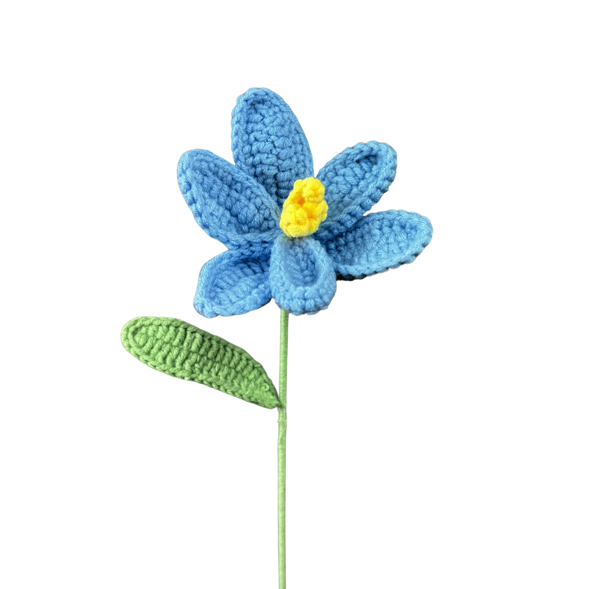 Offene Tulpen