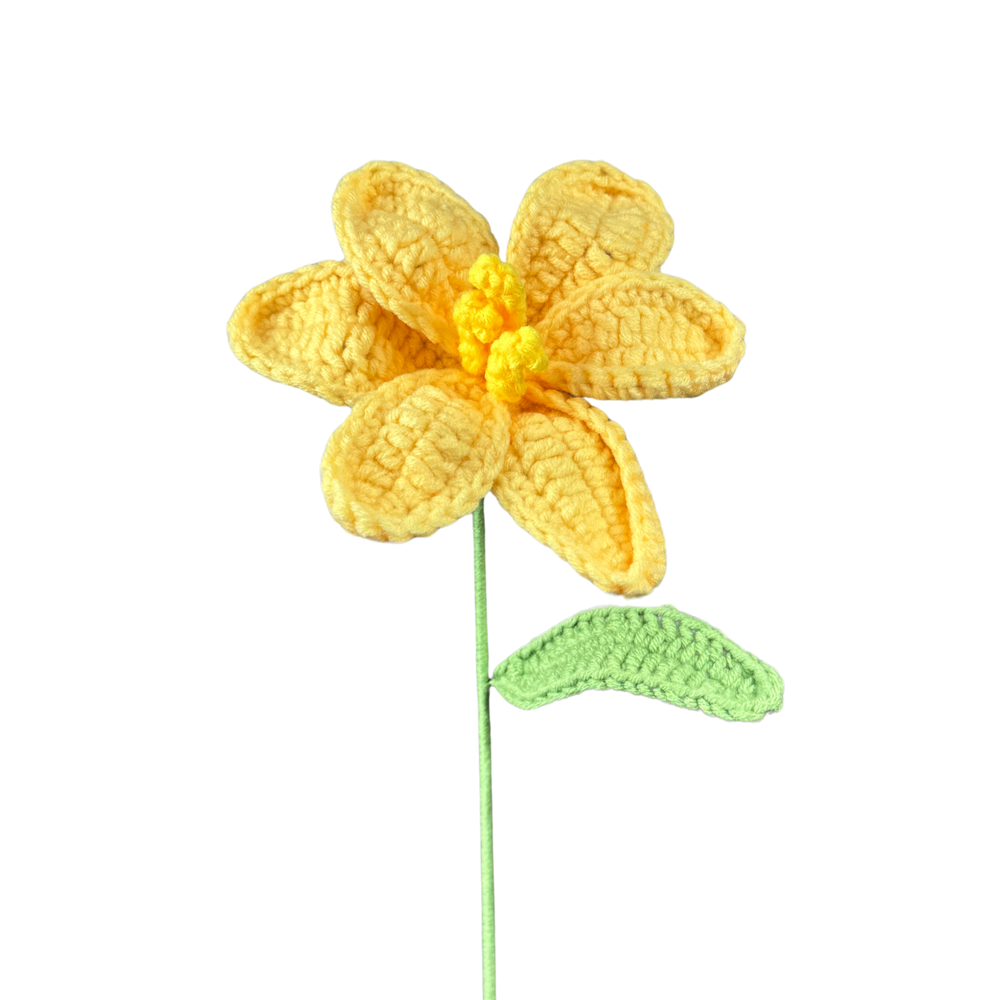 Offene Tulpen