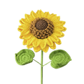 Sonnenblumen