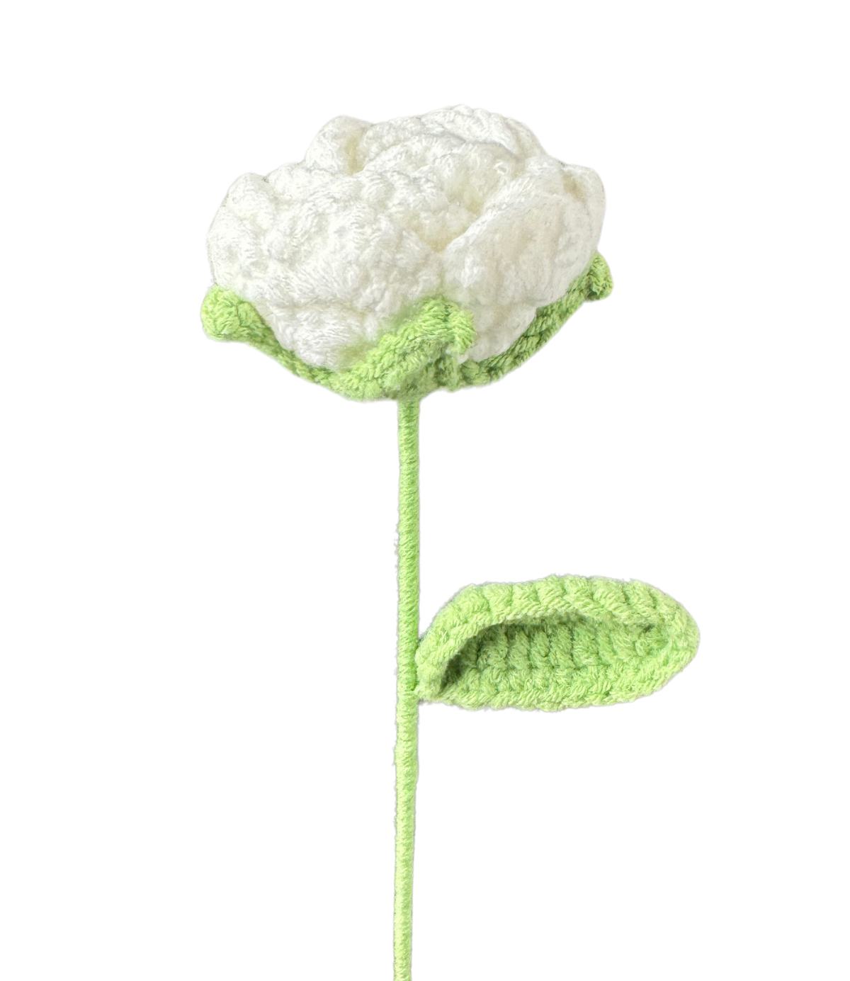 Rosen