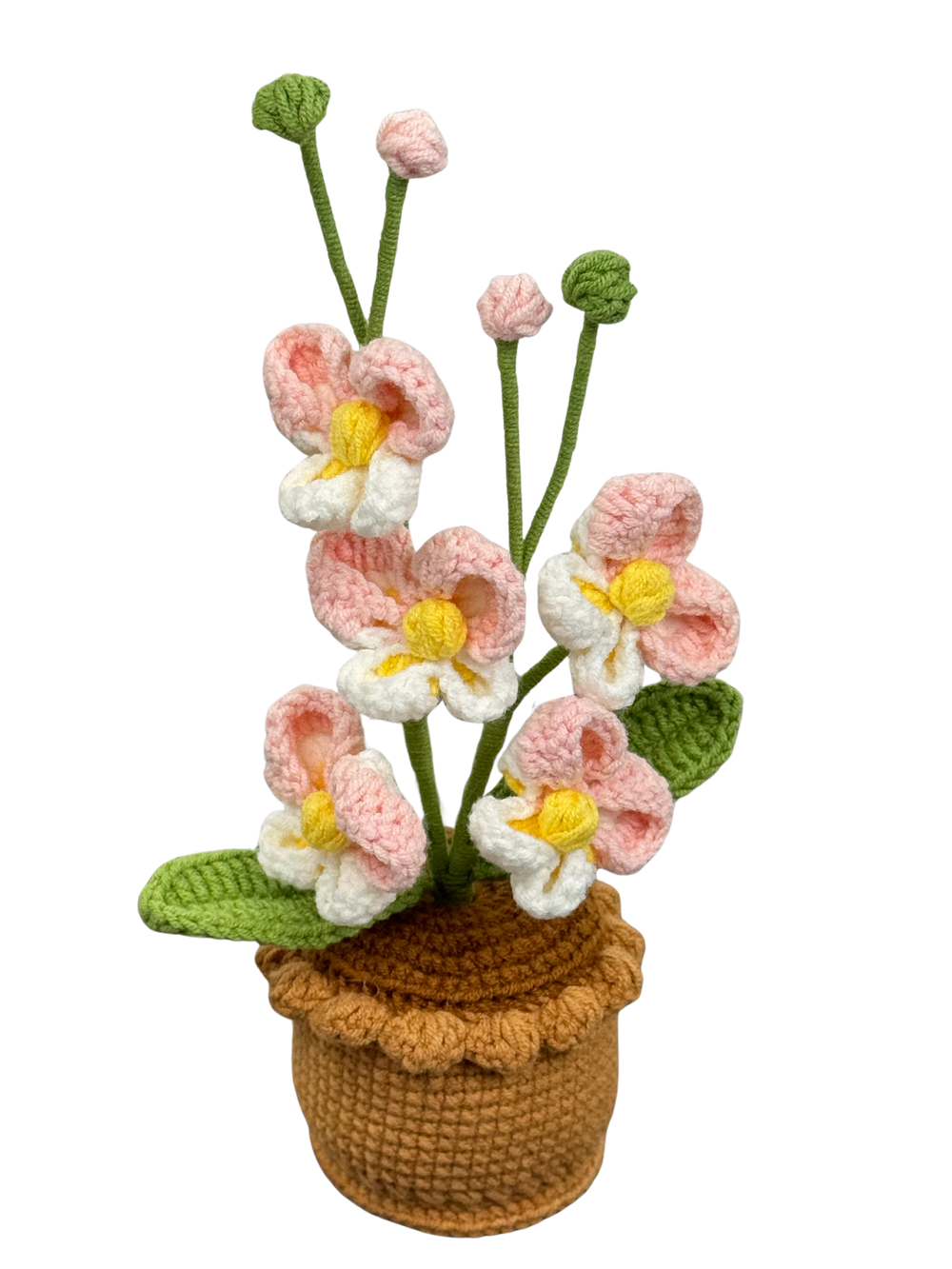 Orchideen