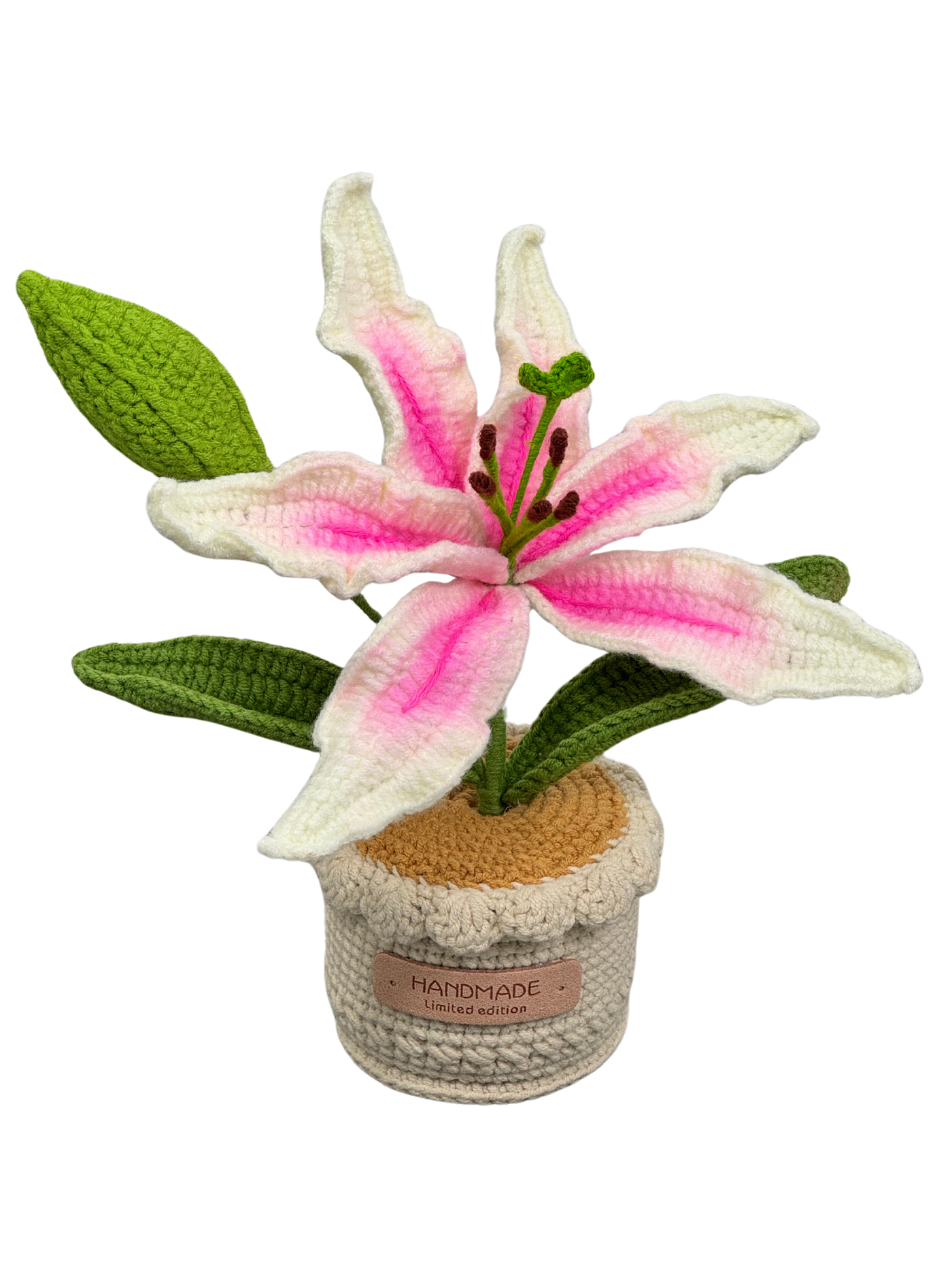 Gehäkelte Blumentöpfe