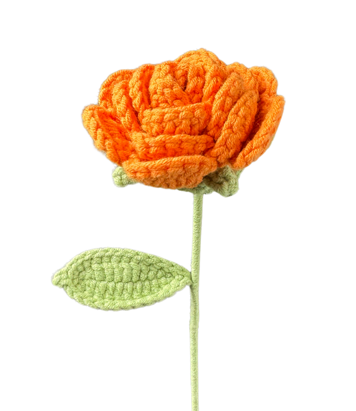 Rosen