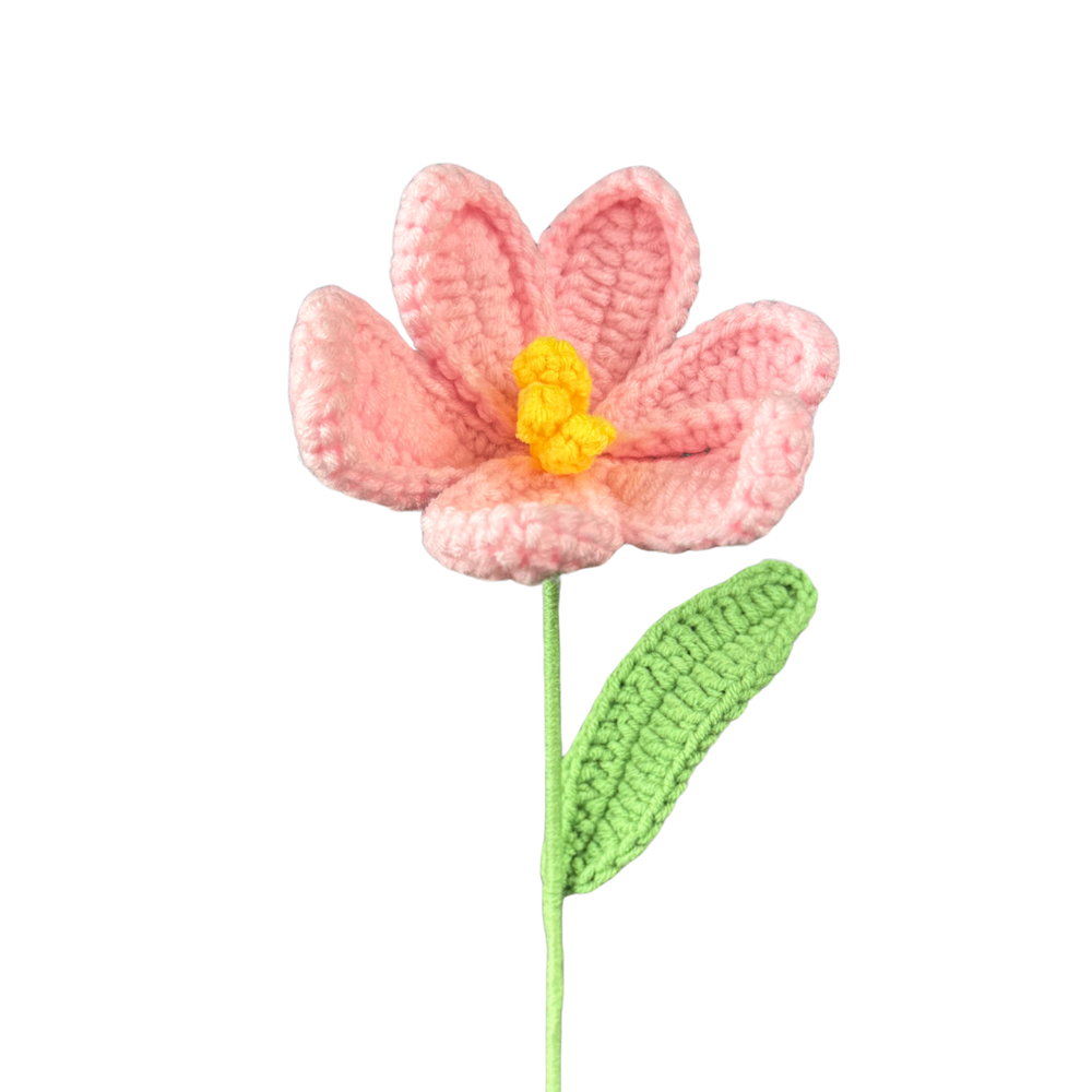 Offene Tulpen