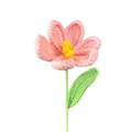 Offene Tulpen