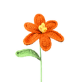 Offene Tulpen