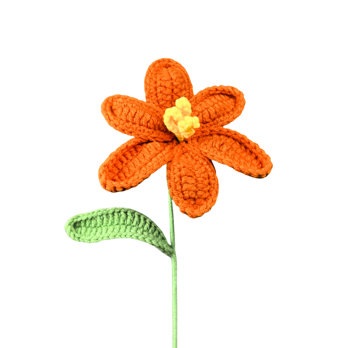 Offene Tulpen