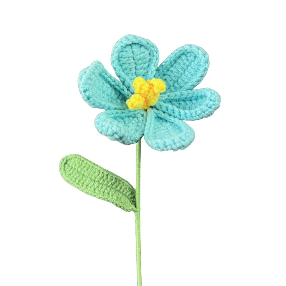Offene Tulpen