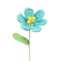 Offene Tulpen