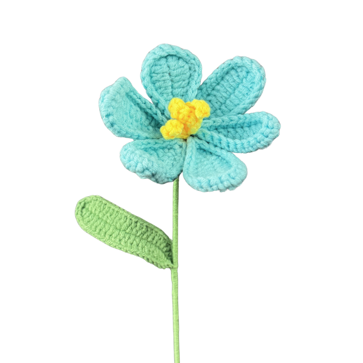 Offene Tulpen
