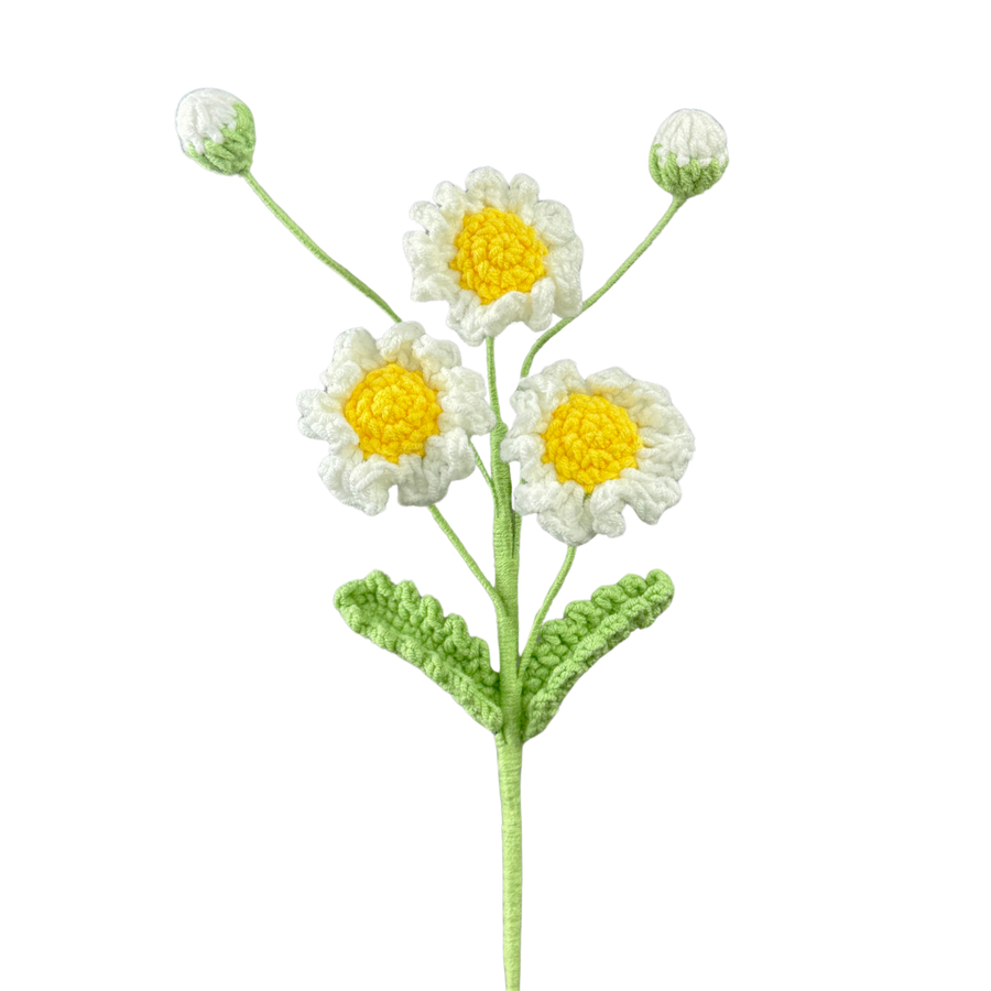 Margeriten
