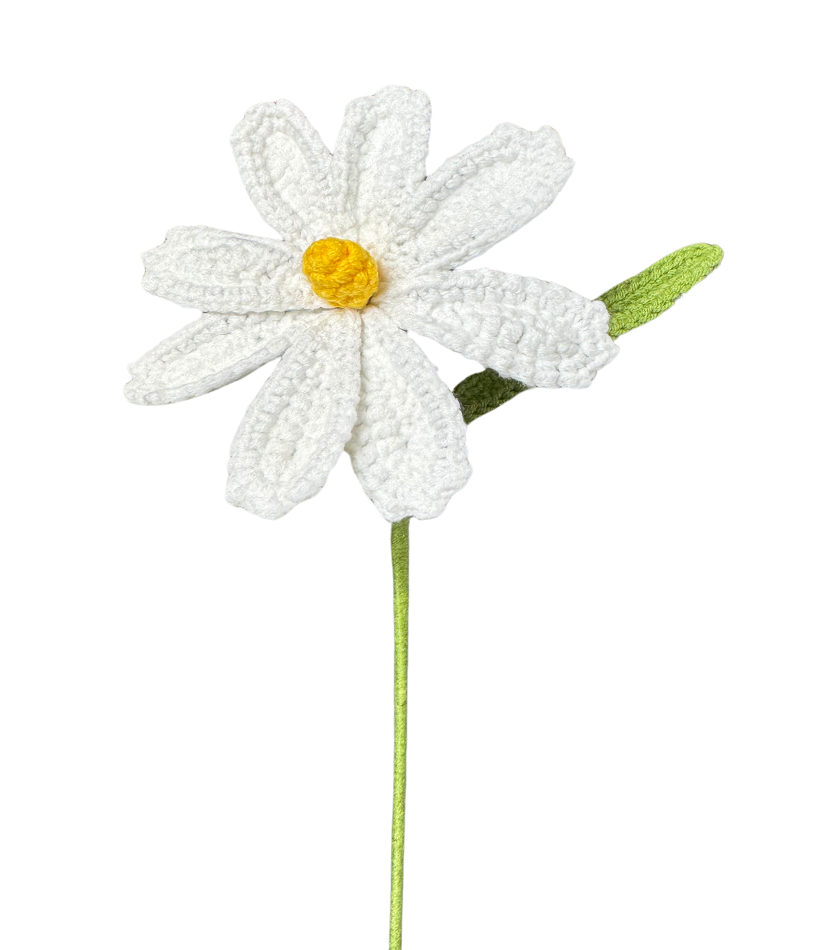 Gänseblümchen