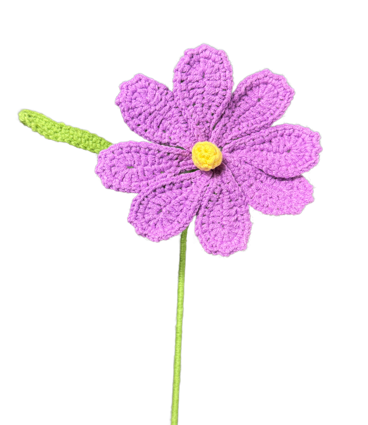 Gänseblümchen