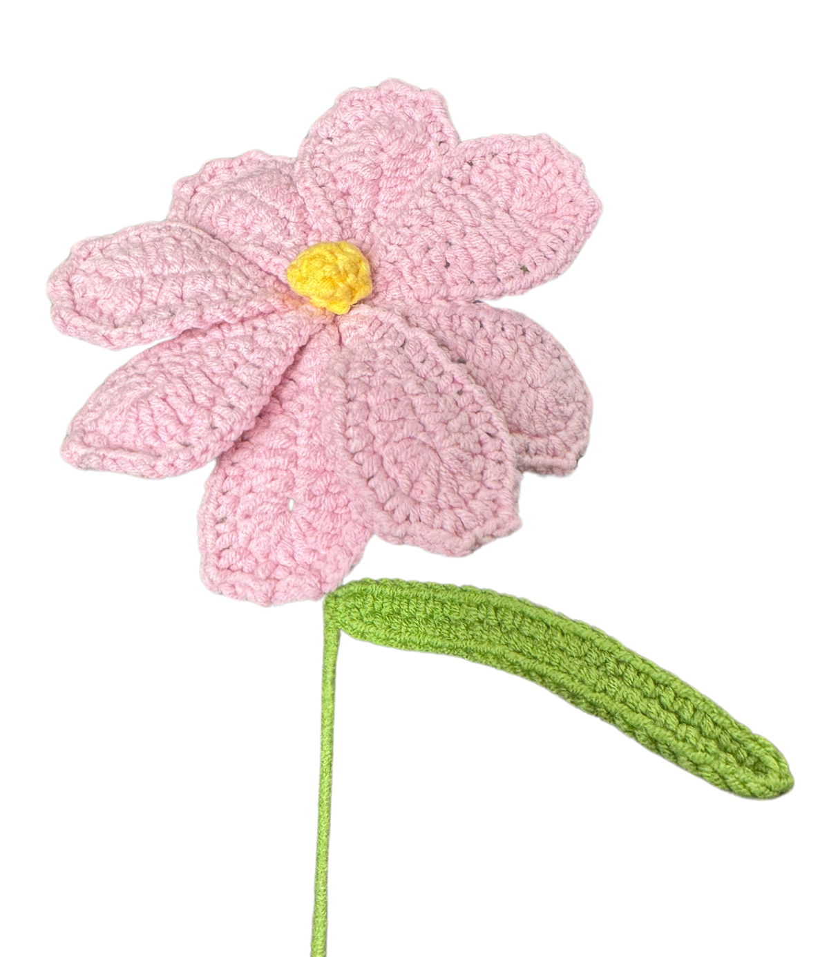 Gänseblümchen
