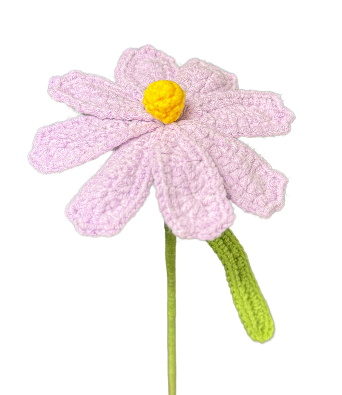 Gänseblümchen