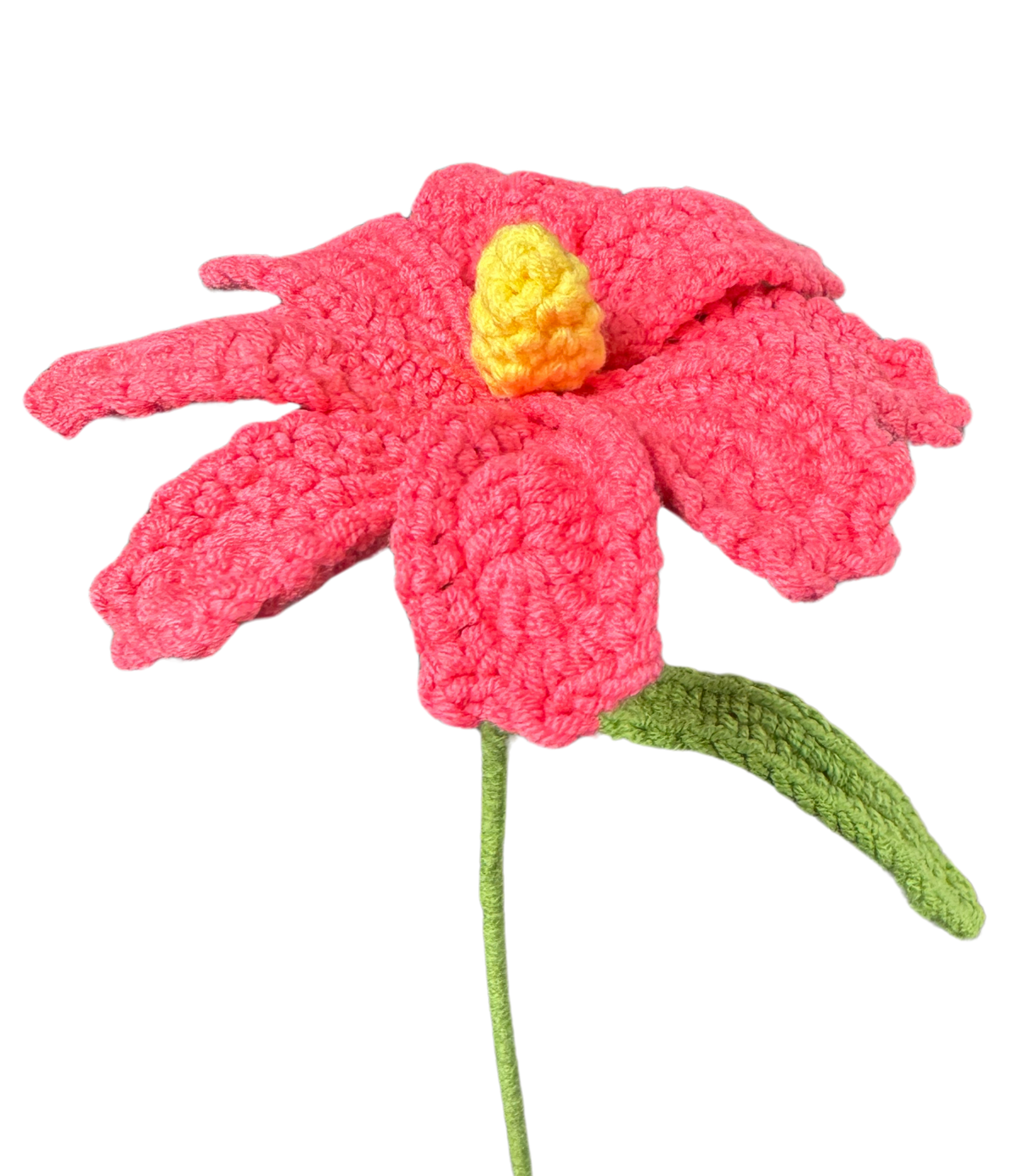 Gänseblümchen