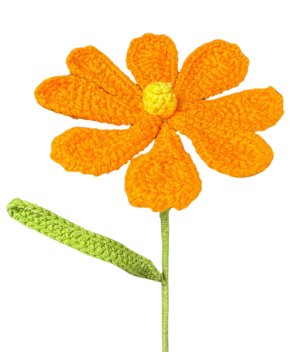 Gänseblümchen