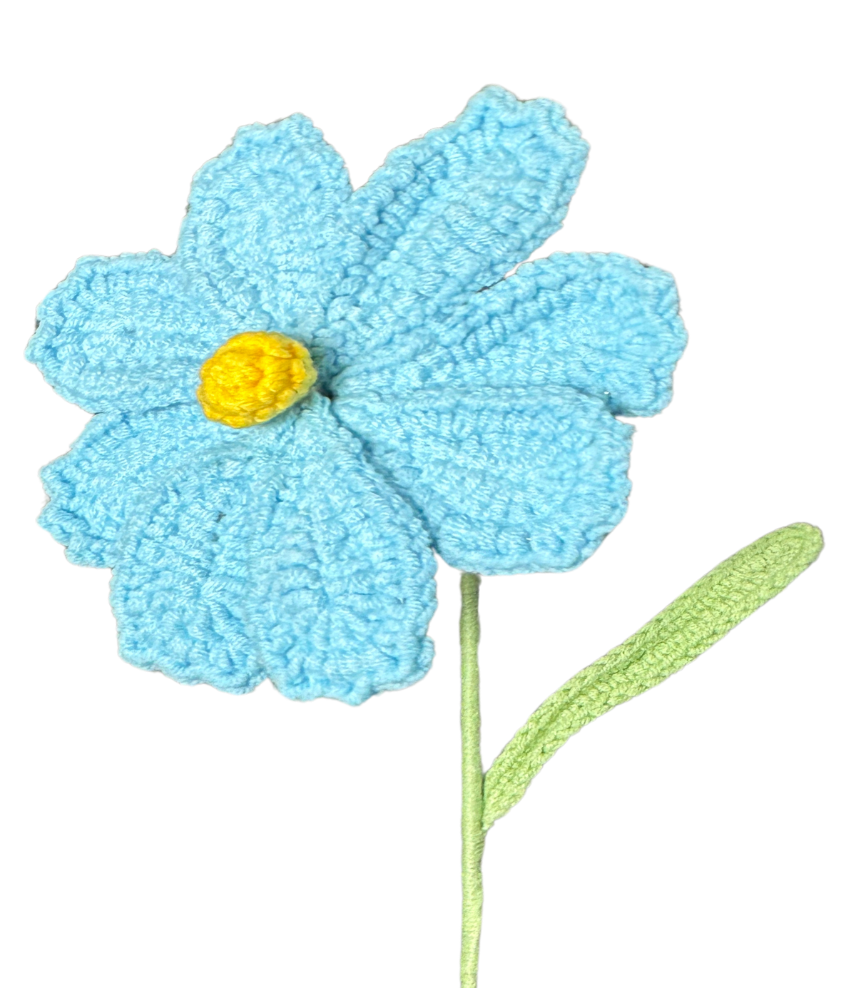 Gänseblümchen