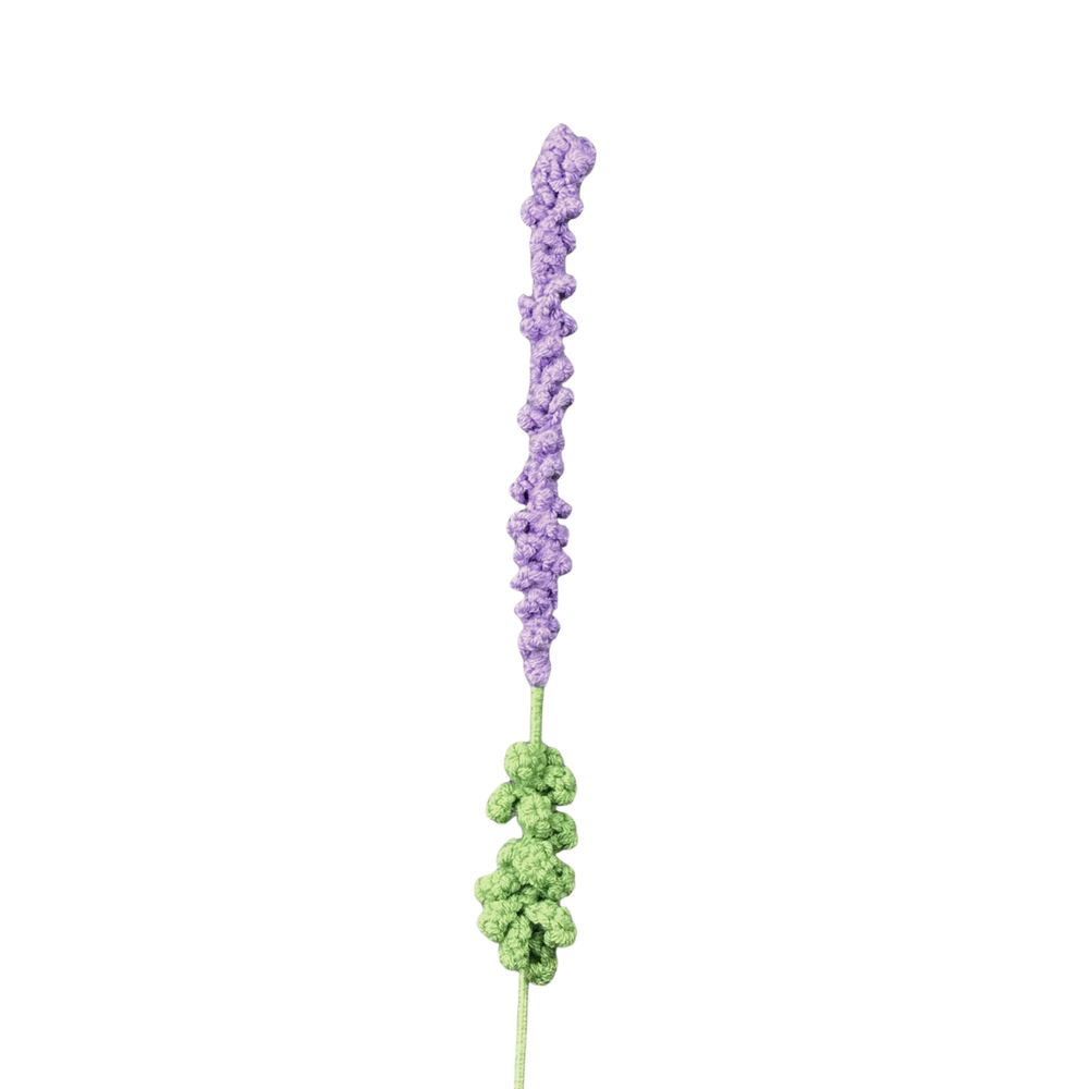 Lavendel