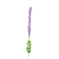 Lavendel