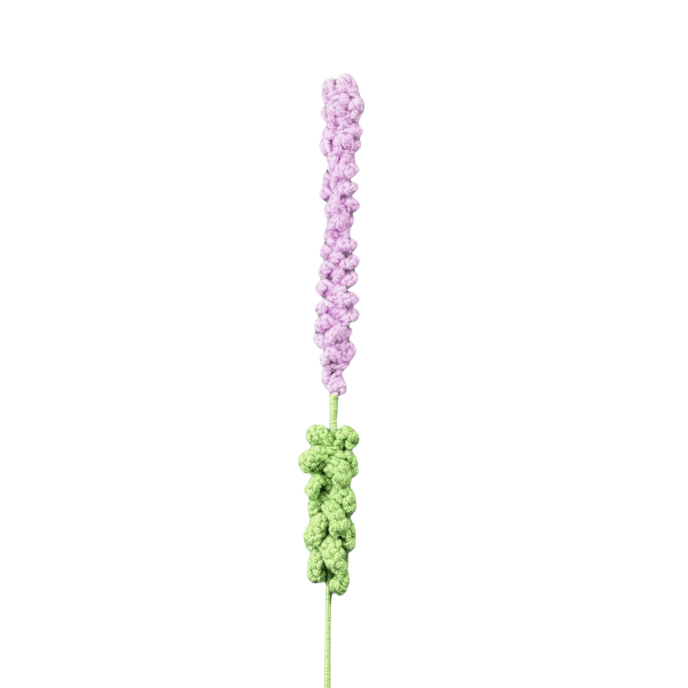 Lavendel