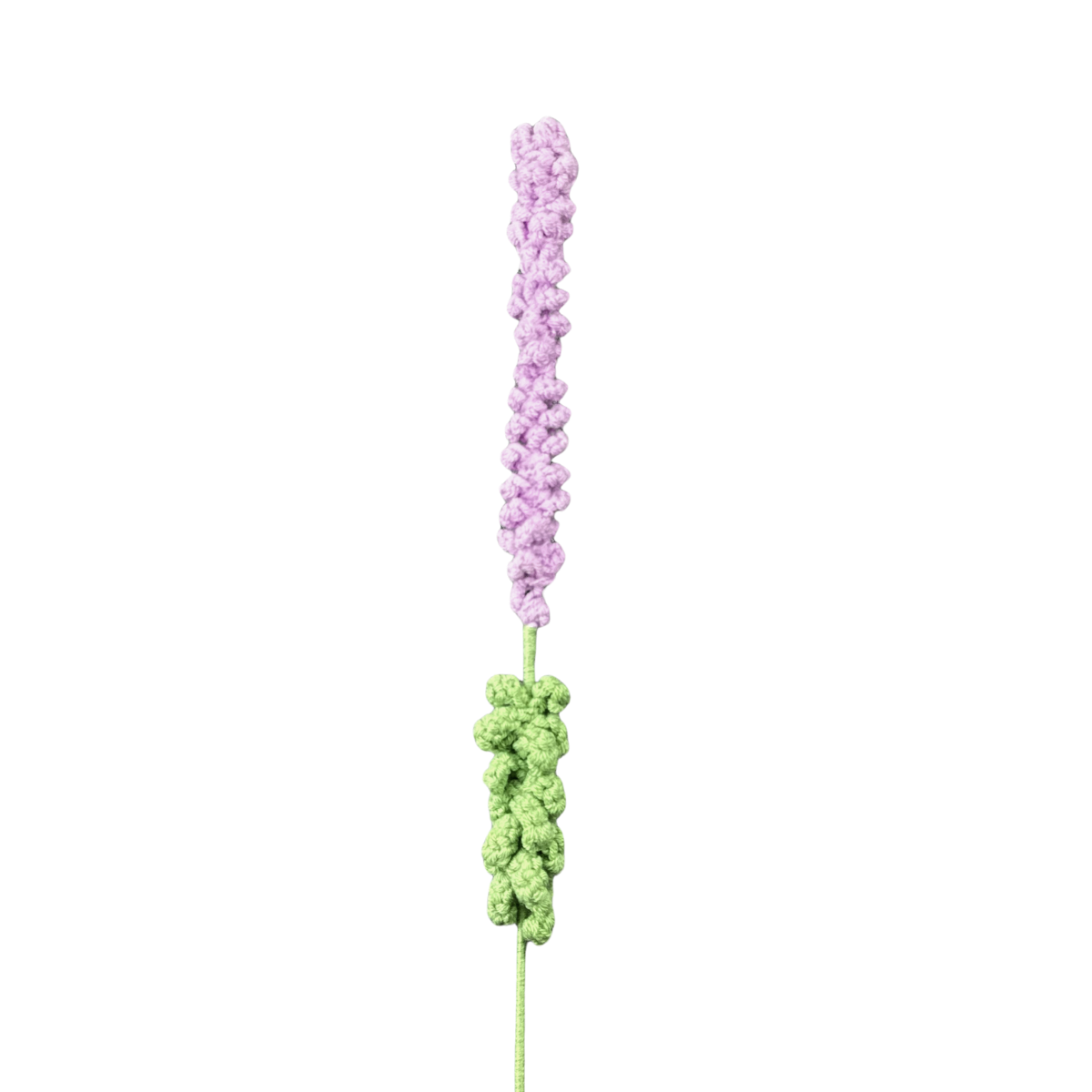 Lavendel